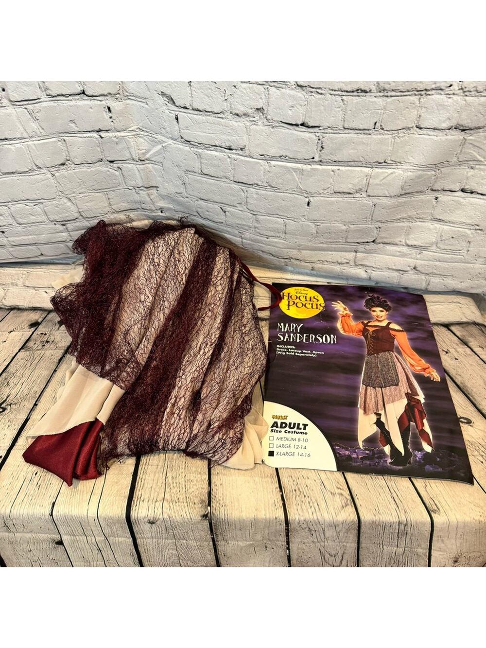 Hocus Pocus Mary Sanderson Women’s Costume